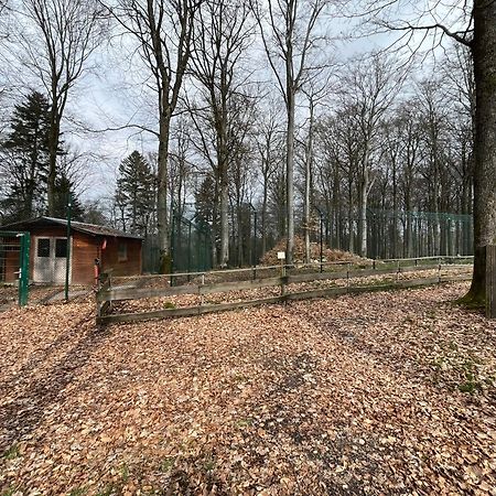 Hochwald Lodge Morbach Kültér fotó