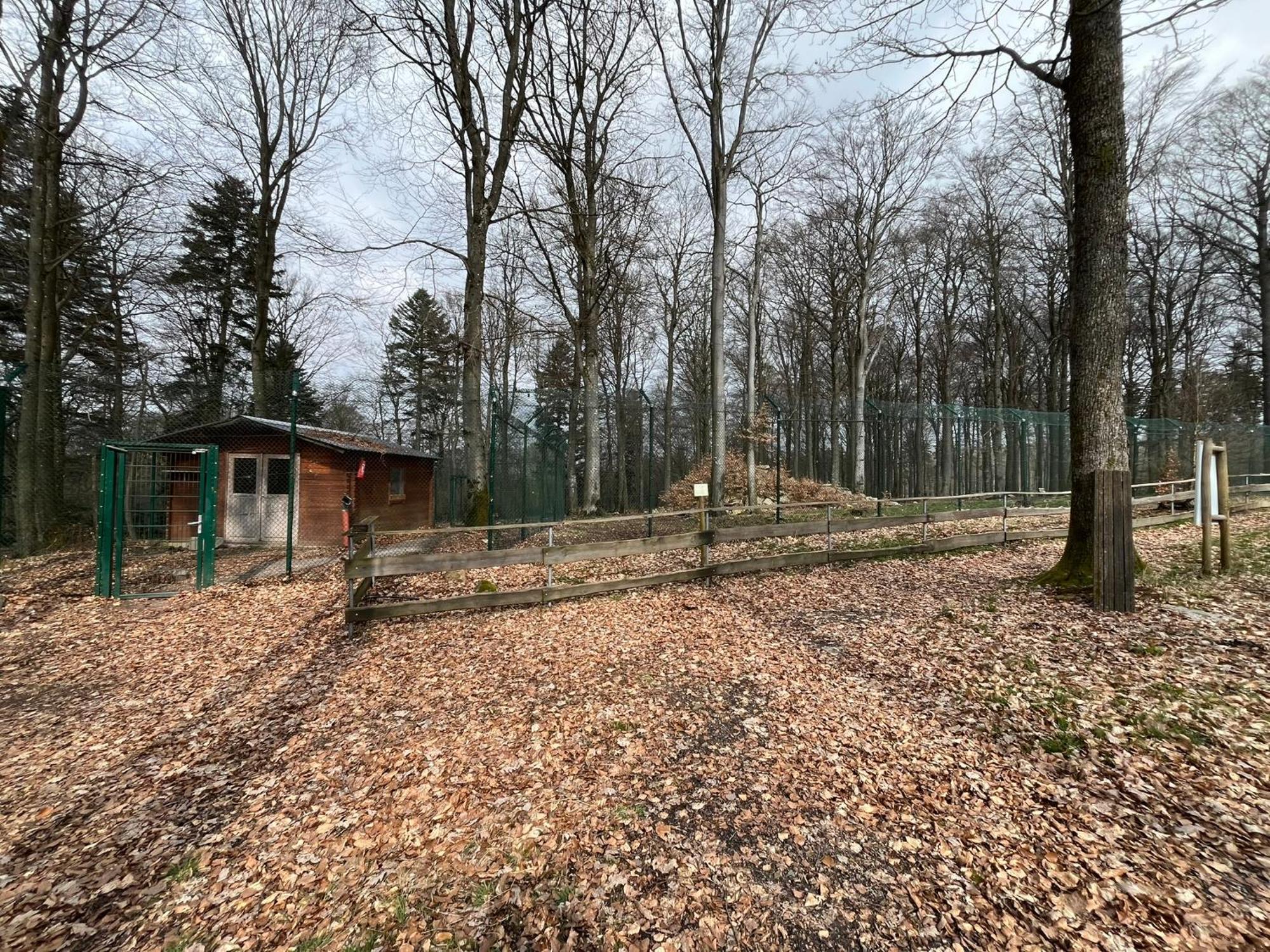 Hochwald Lodge Morbach Kültér fotó